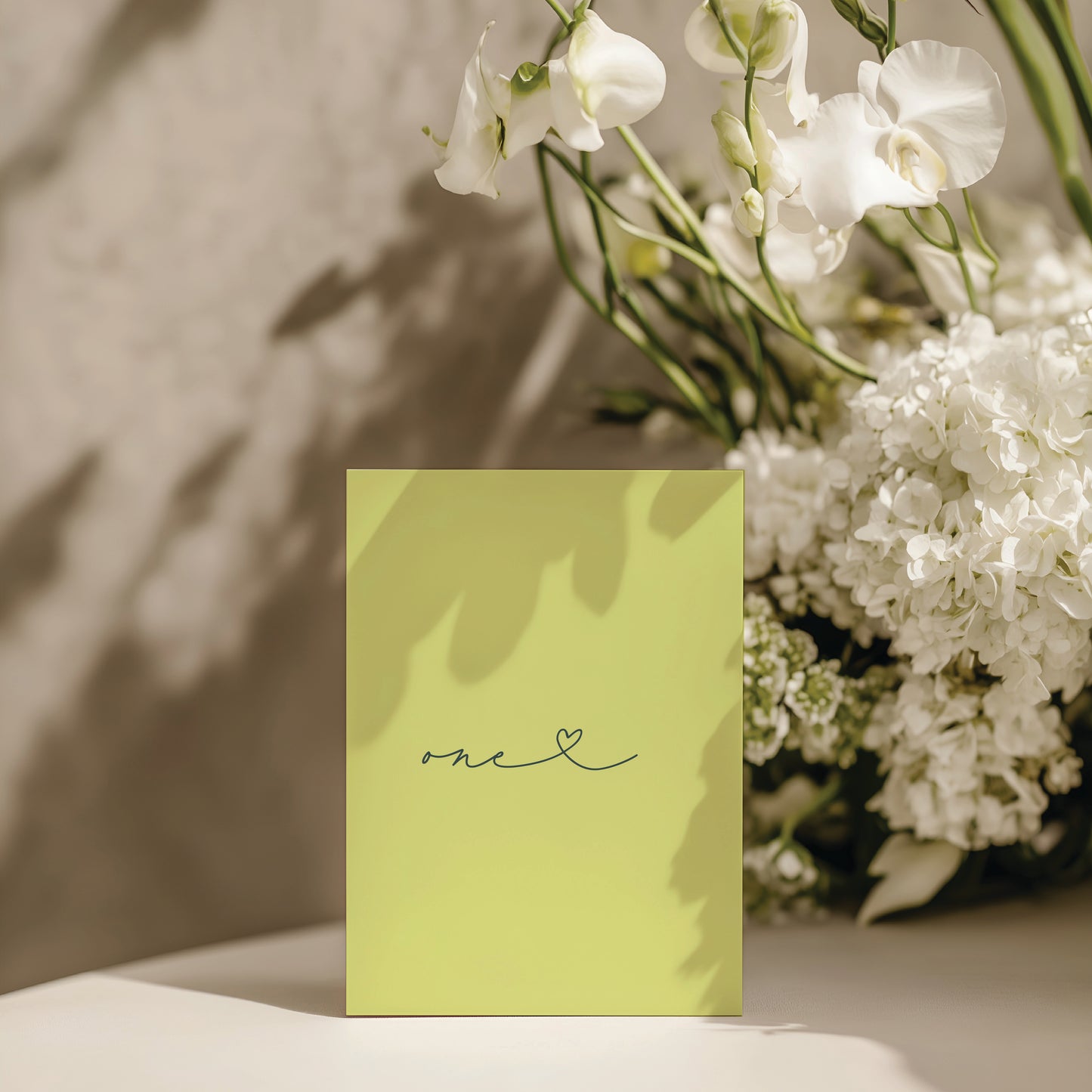 
                  
                    Cashmere - Table Numbers
                  
                